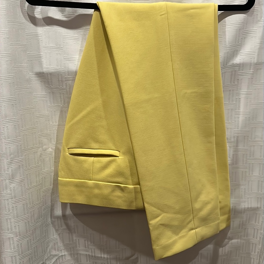 Loft Business Pants
